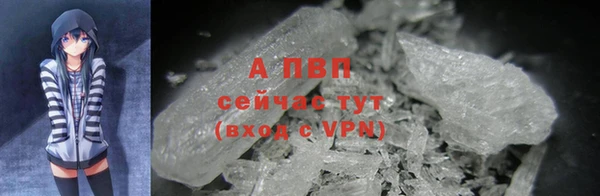 прущая мука Пересвет